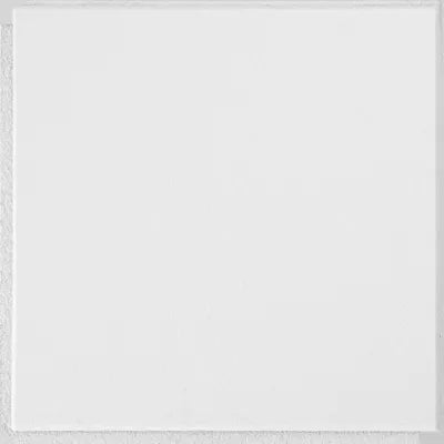 Armstrong Ceilings Washable White 12 x 12