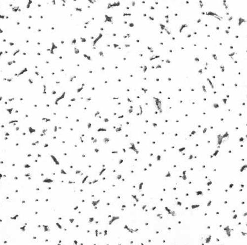 Celotex Bet 197 Baroque Ceiling Tiles 24 x 48 x 5/8