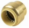 Proline Brass Cap 1/2